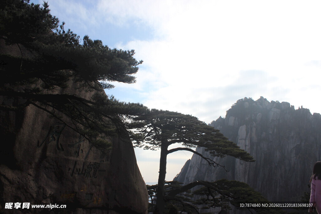 黄山奇峰劲松美景