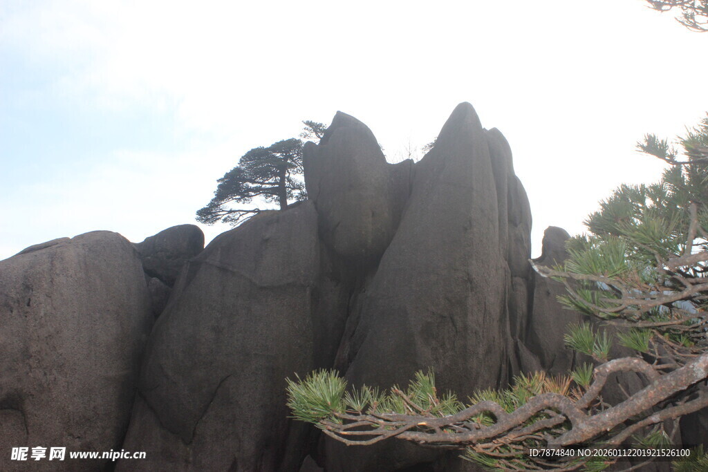 奇峰峻石间的苍松挺立