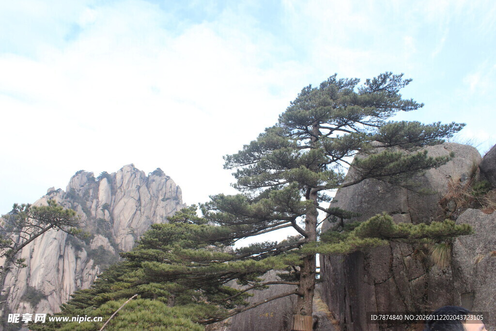 黄山奇松与峻峭山峰