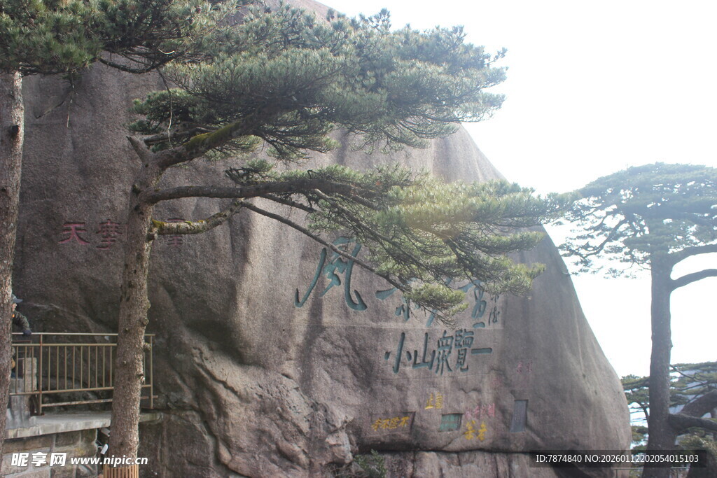 黄山峭壁旁的苍松