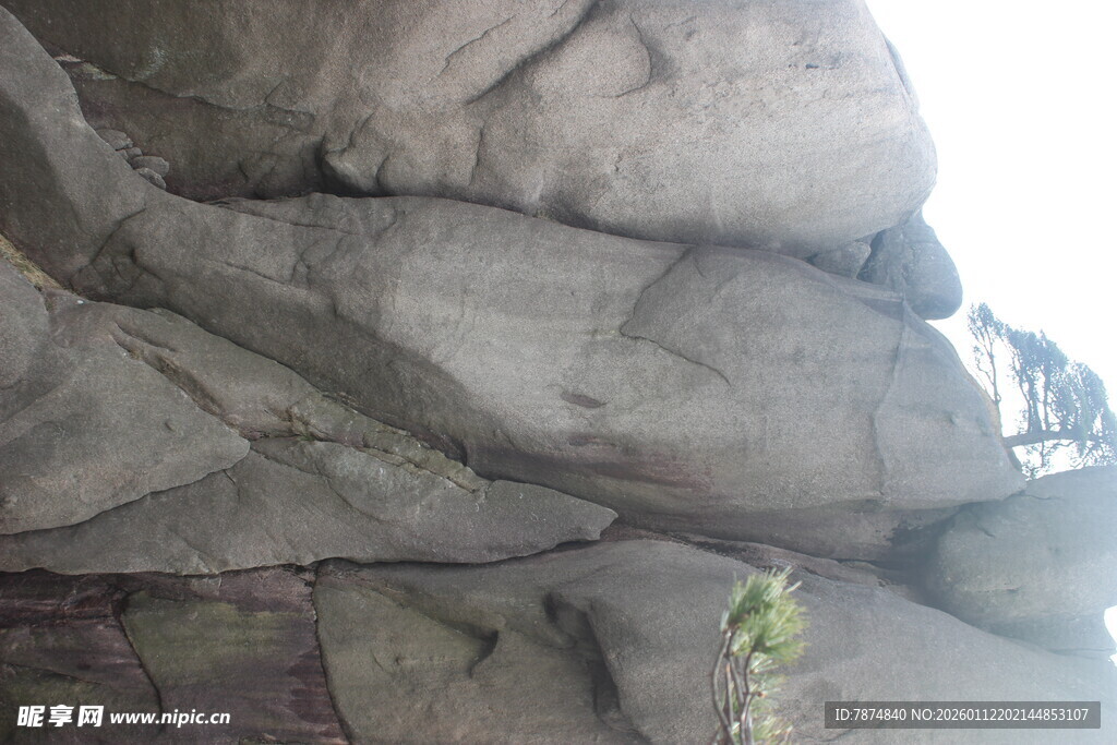 嶙峋岩石下的一抹绿意