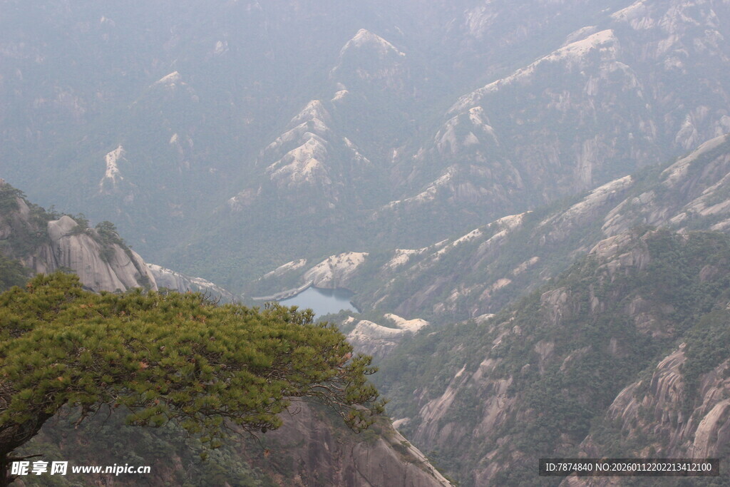 黄山奇峰间的苍松美景