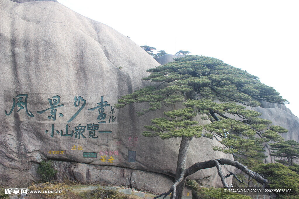 黄山奇峰劲松景观图