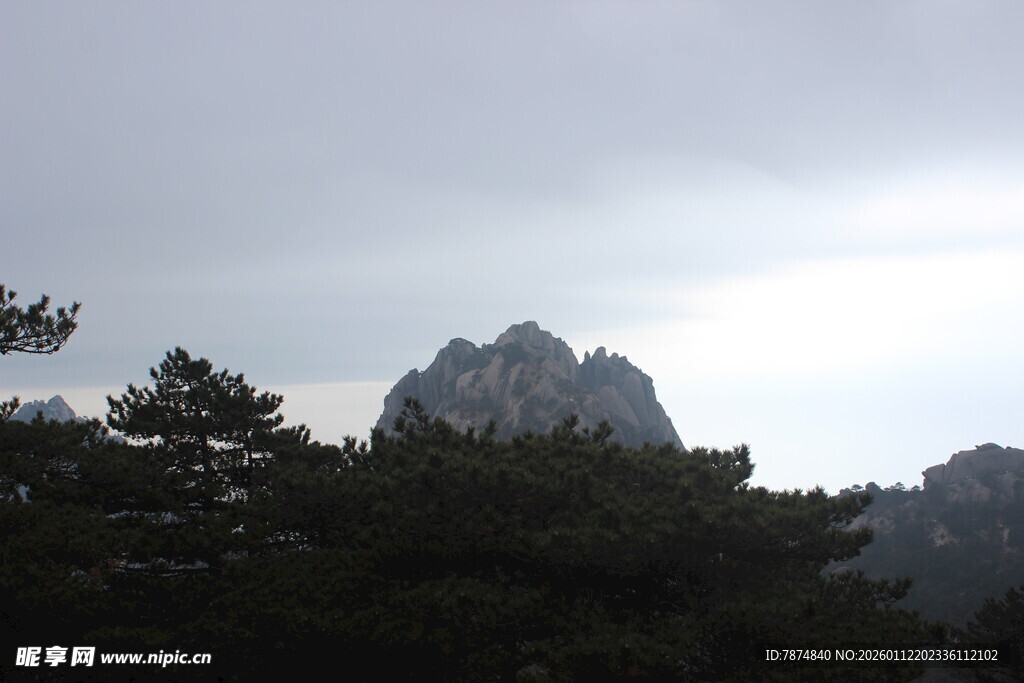 云雾中的山峦与树木