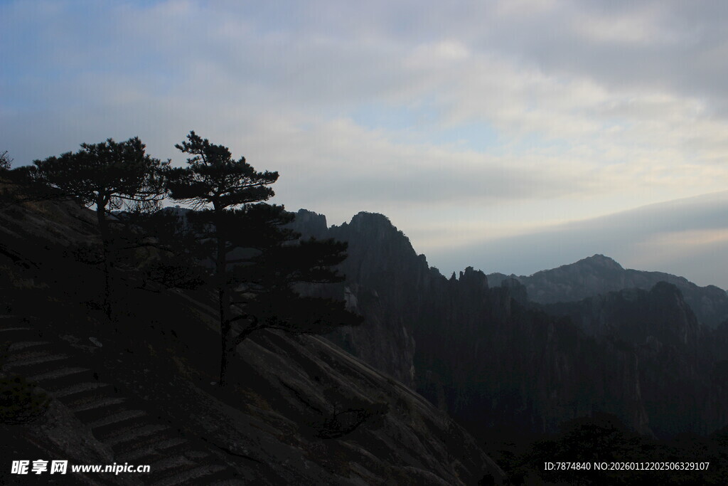 山巅孤松伴云海美景