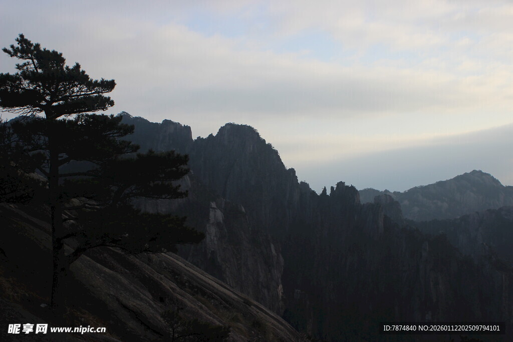 壮丽山景与孤松