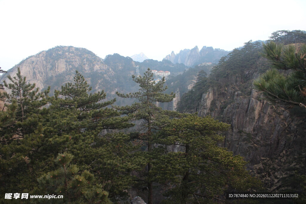 秀丽山峦间的葱郁林木