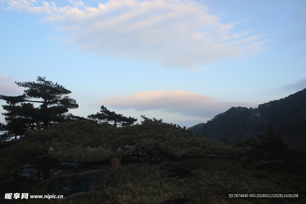 山间云景 松影绰约