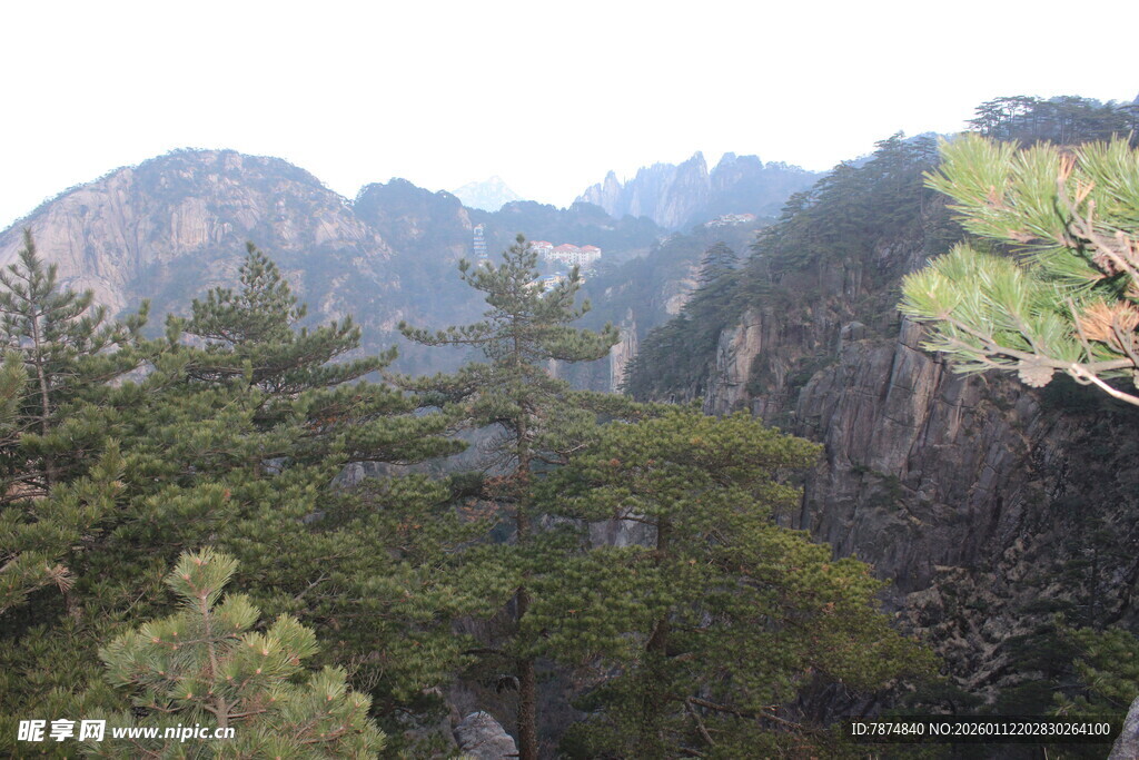 壮丽山峦间的葱郁林木