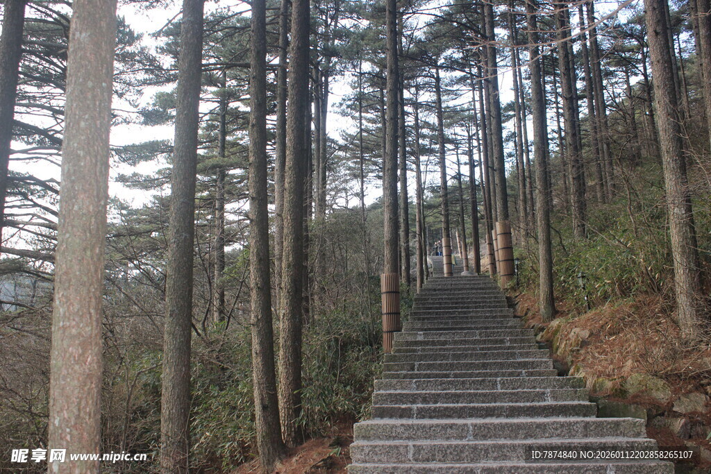 山林中的石阶步道