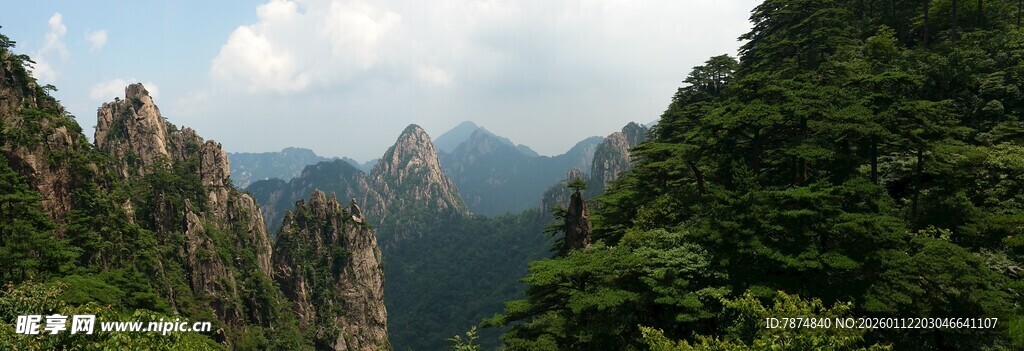 壮丽山景 葱郁山林