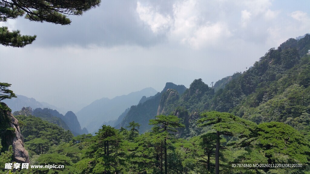 壮美山峦间的葱郁绿意