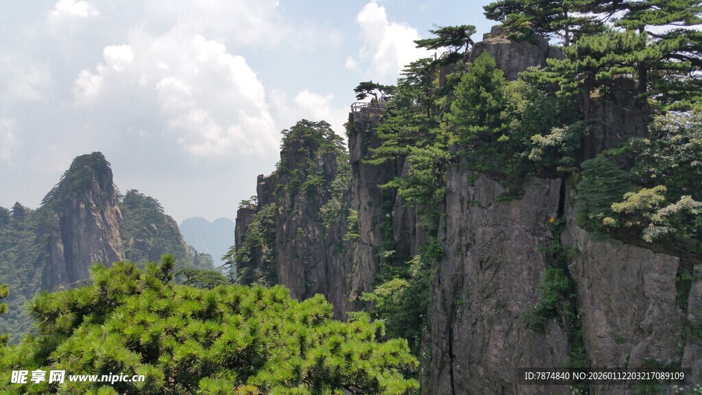 壮丽黄山奇峰绿意景观