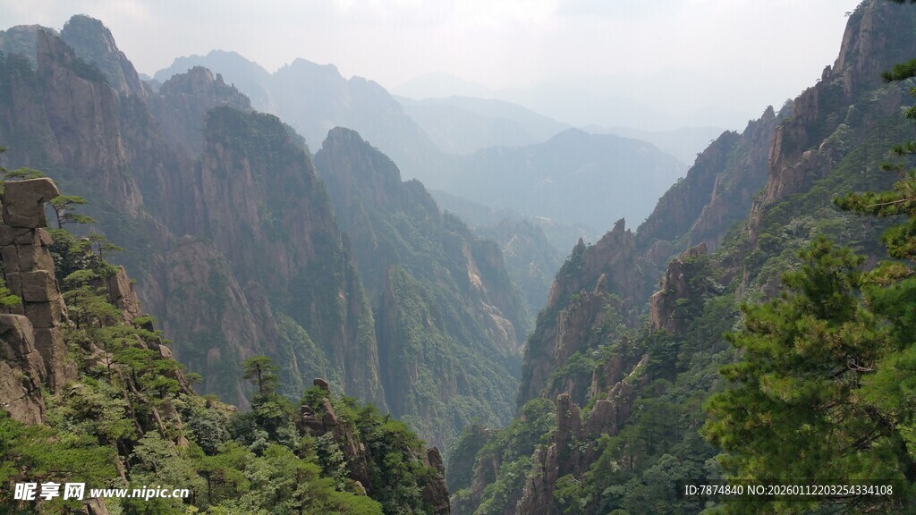 壮丽山峦间的葱郁景致