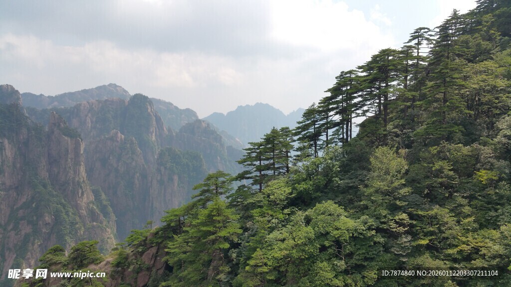 壮丽山景 植被覆盖的陡峭山峰