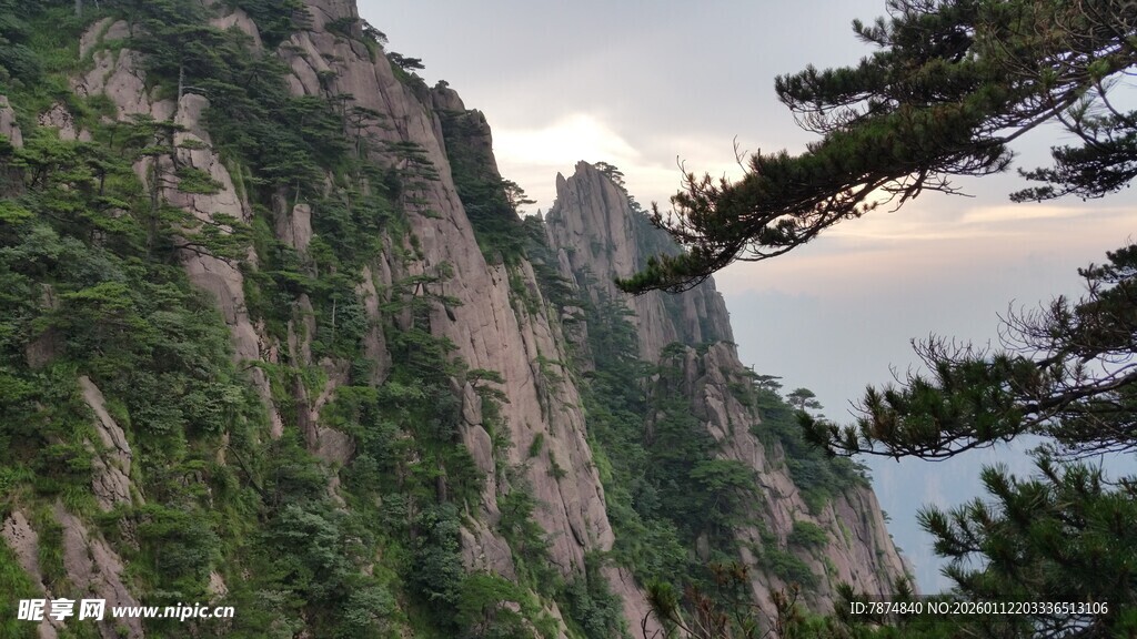巍峨黄山奇峰与苍松