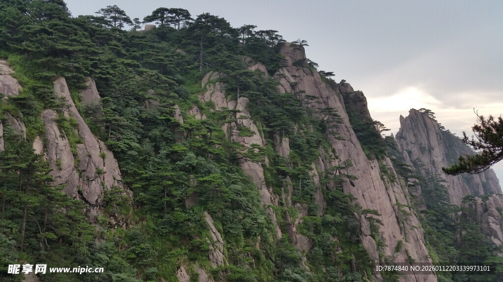 峻峭黄山 奇峰绿意盎然