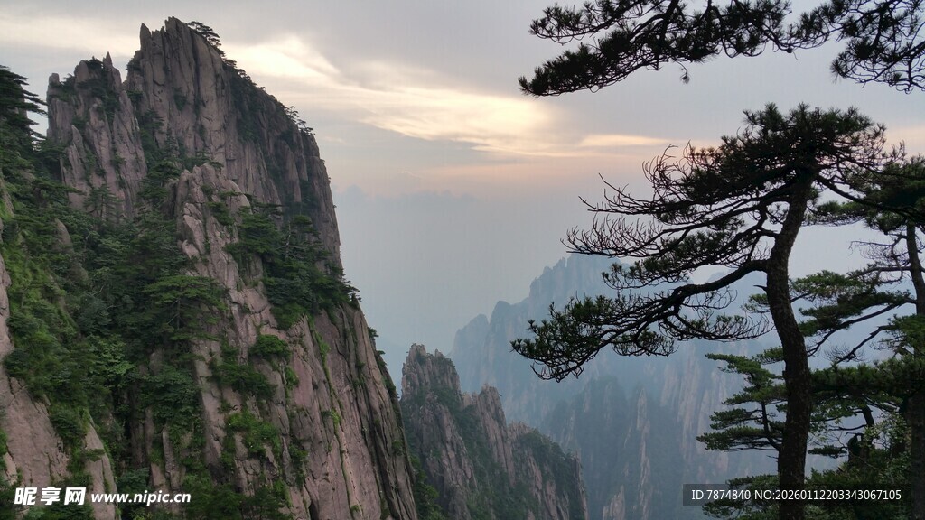 黄山奇峰劲松壮丽景观