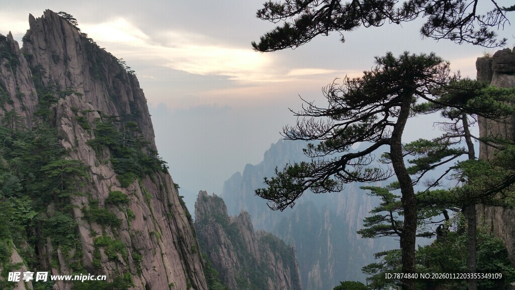黄山奇峰与苍松美景