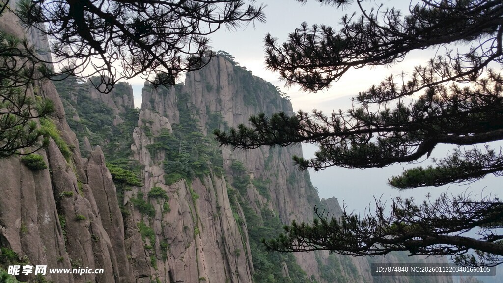 黄山奇峰与苍松景观