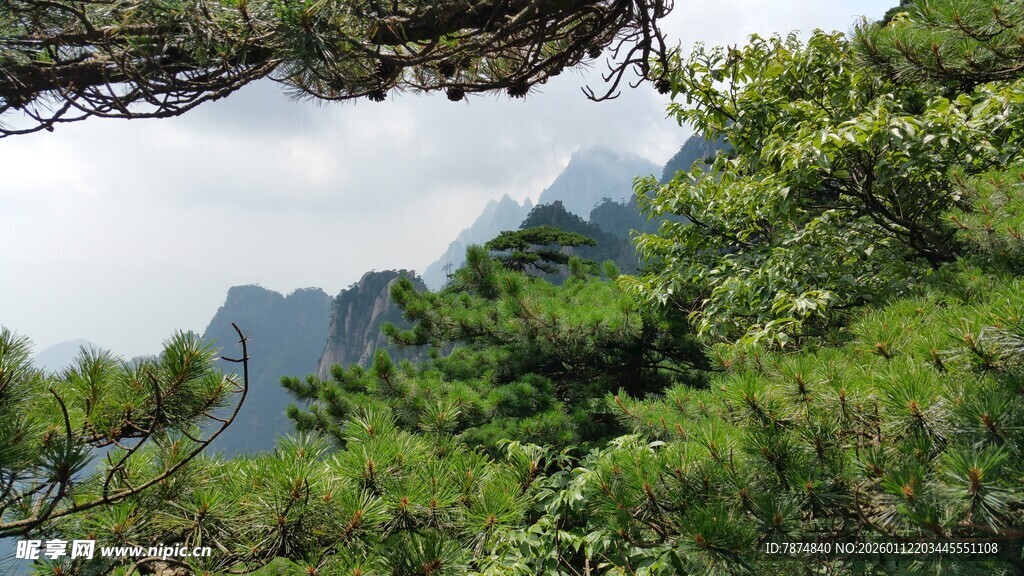 青山绿树间的秀丽山景