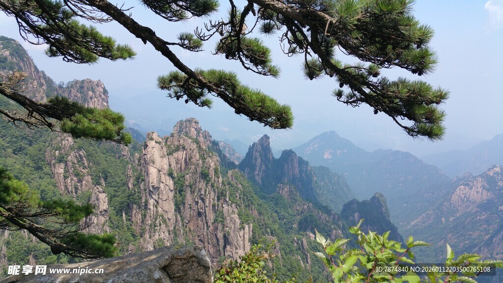 黄山奇峰与苍松美景