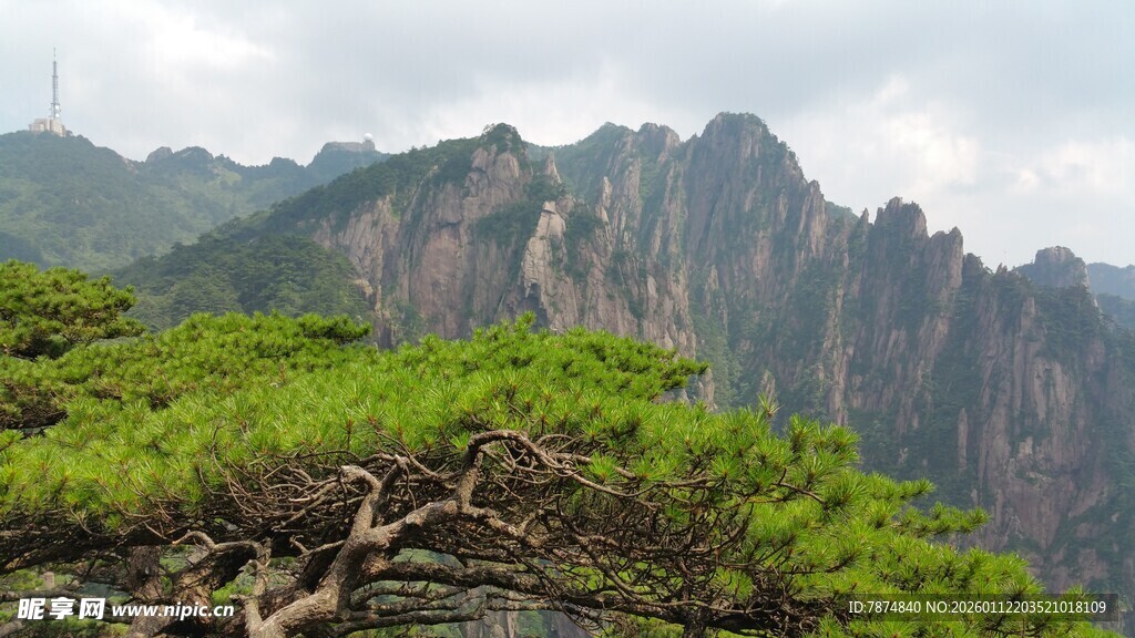 黄山奇松与壮丽山峦