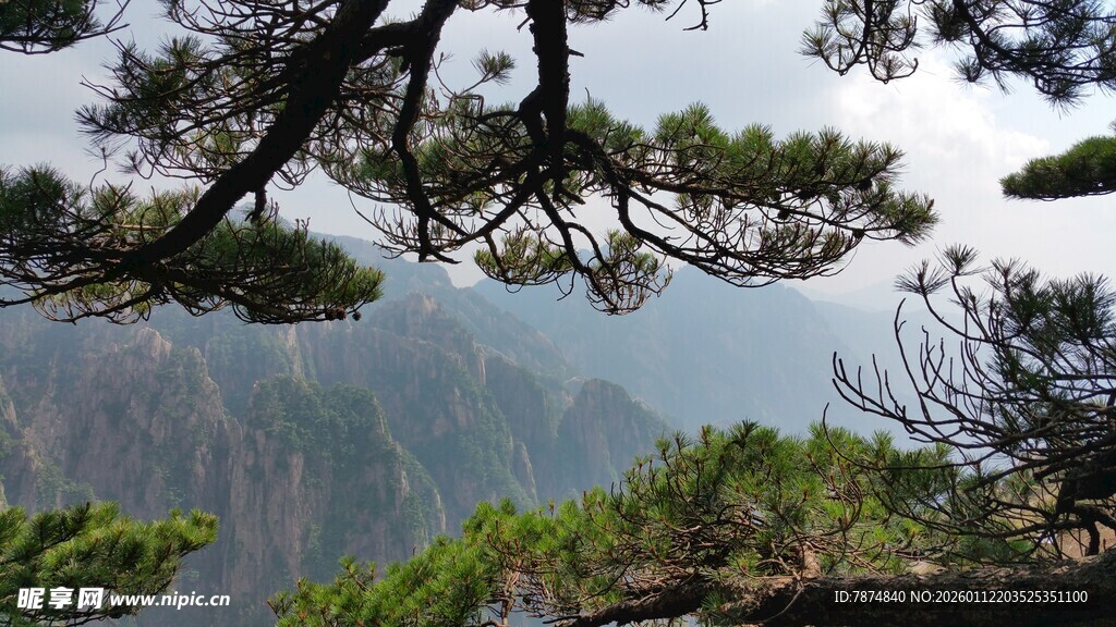 黄山美景 松与山峦相衬