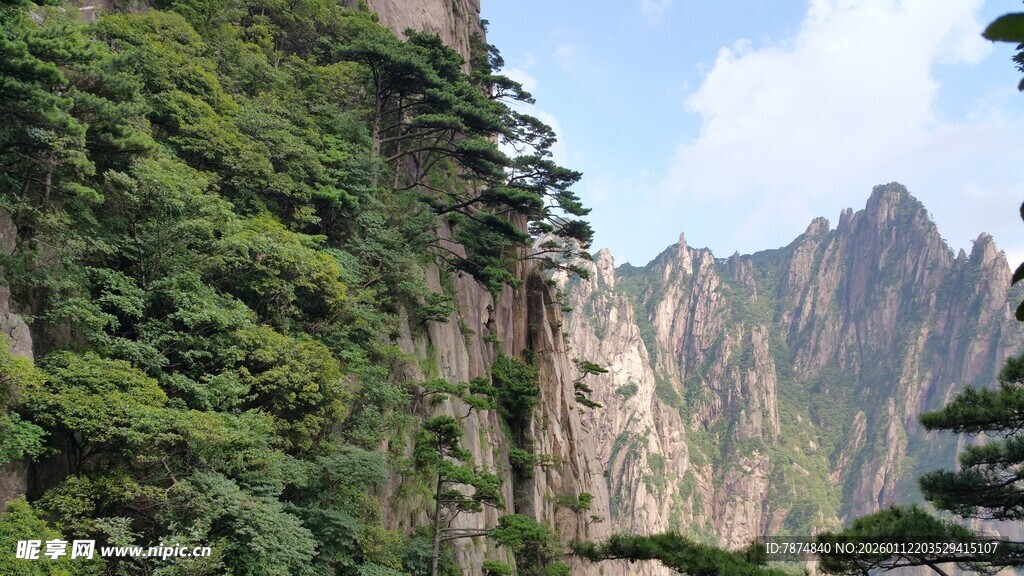 壮丽黄山奇峰与葱郁植被