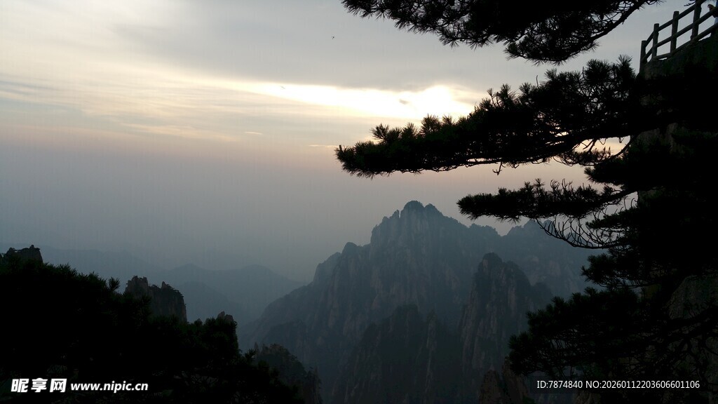山间暮色中的苍松美景
