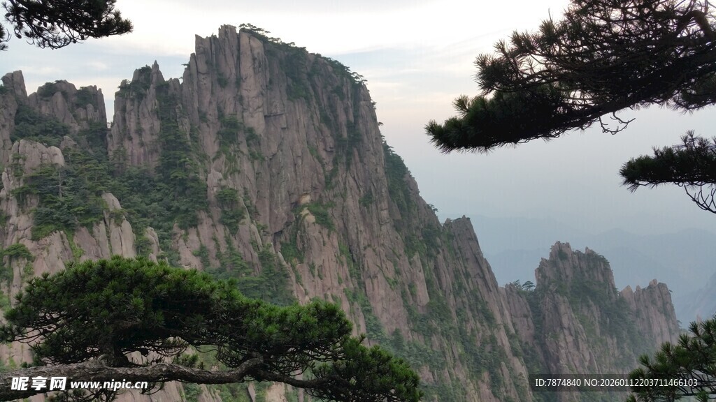 黄山奇峰与苍松景观