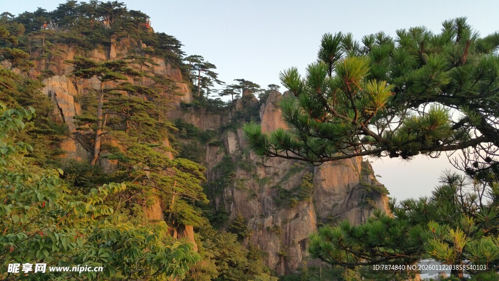 壮丽山景与葱郁树木