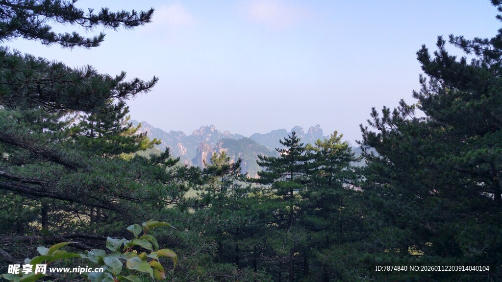 山林景致 松影伴远山