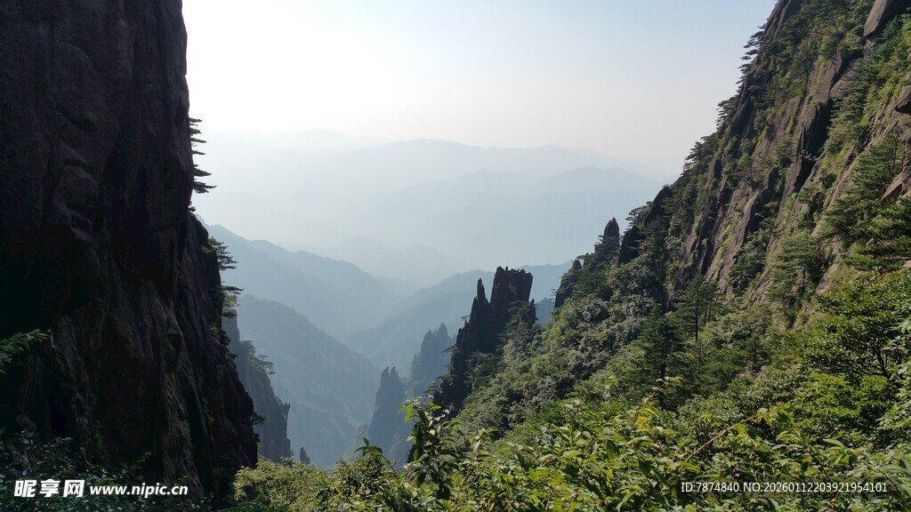峻岭奇峰间的葱郁山林