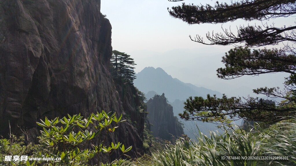 黄山奇峰绿植景观