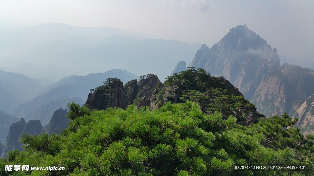 青山巍峨 绿意盎然