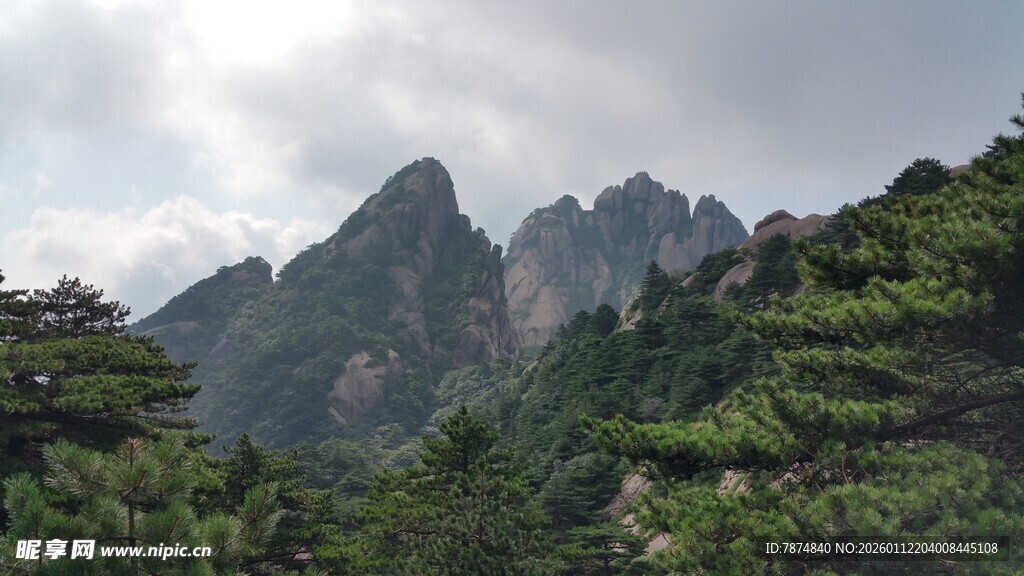 壮丽山峦间的葱郁美景