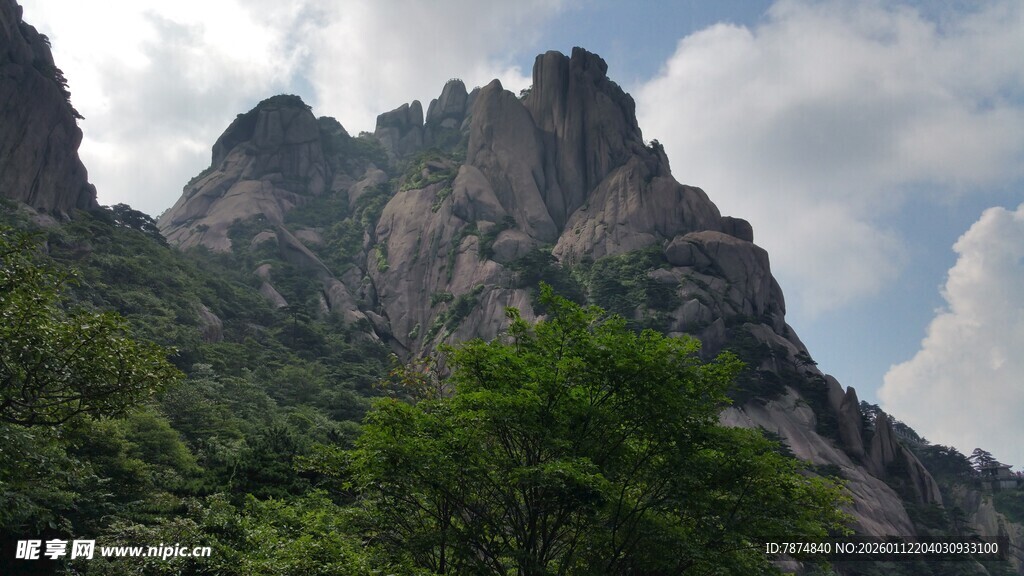巍峨青山绿意浓