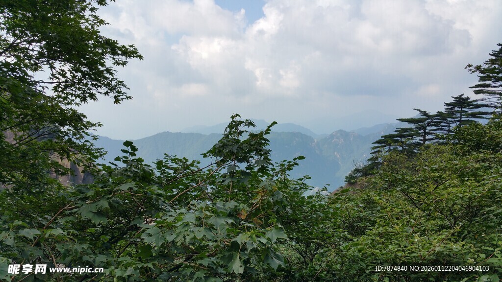 山林间的绿意与远处山峦