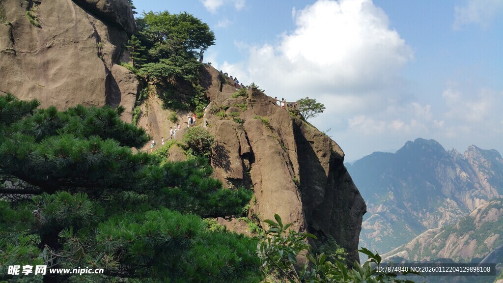 峻峭山峰上的翠绿松树