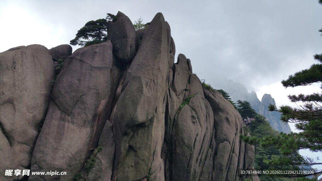 巍峨山石间挺立的青松