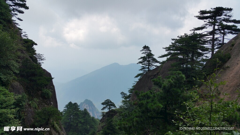 山间松林 云雾缭绕美景