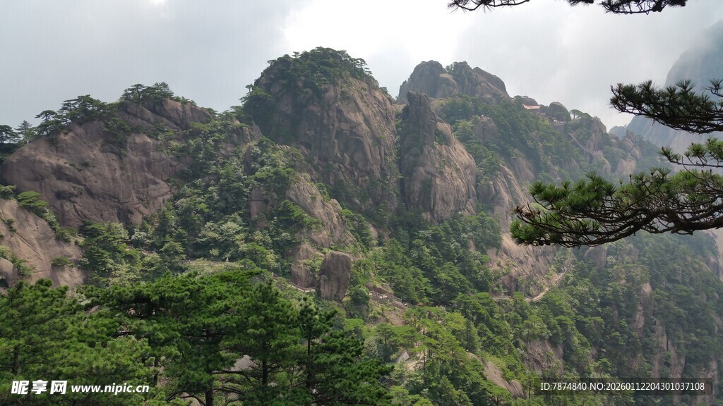 壮丽山峦间的翠绿景致