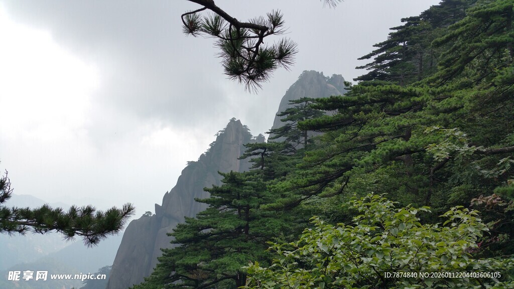 巍峨青山间的葱郁景致