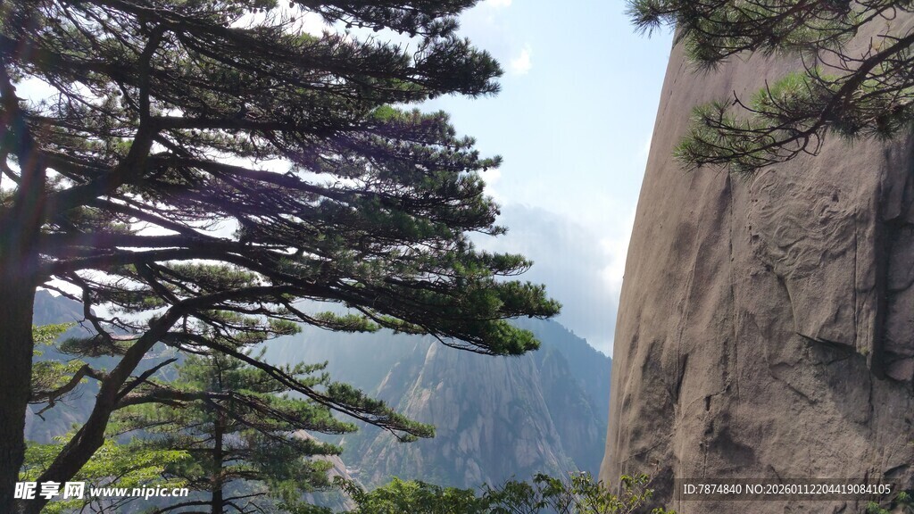 黄山奇松伴峭壁