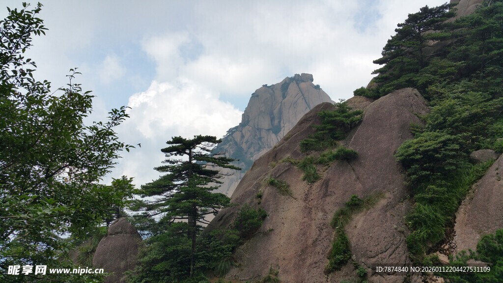 巍峨山峰与葱郁树木景观