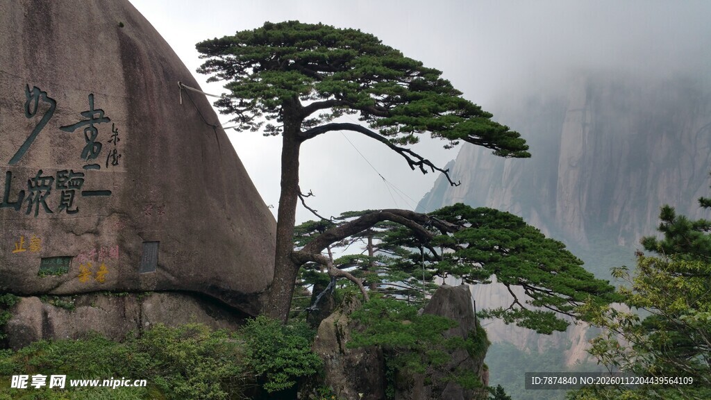 黄山迎客松 云雾中的奇景