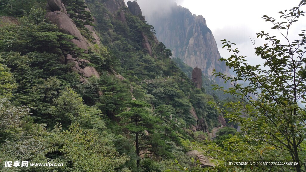 山间绿意盎然的秀丽景致