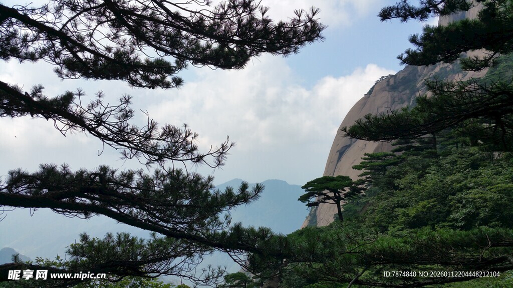 山间松树与巨石景观