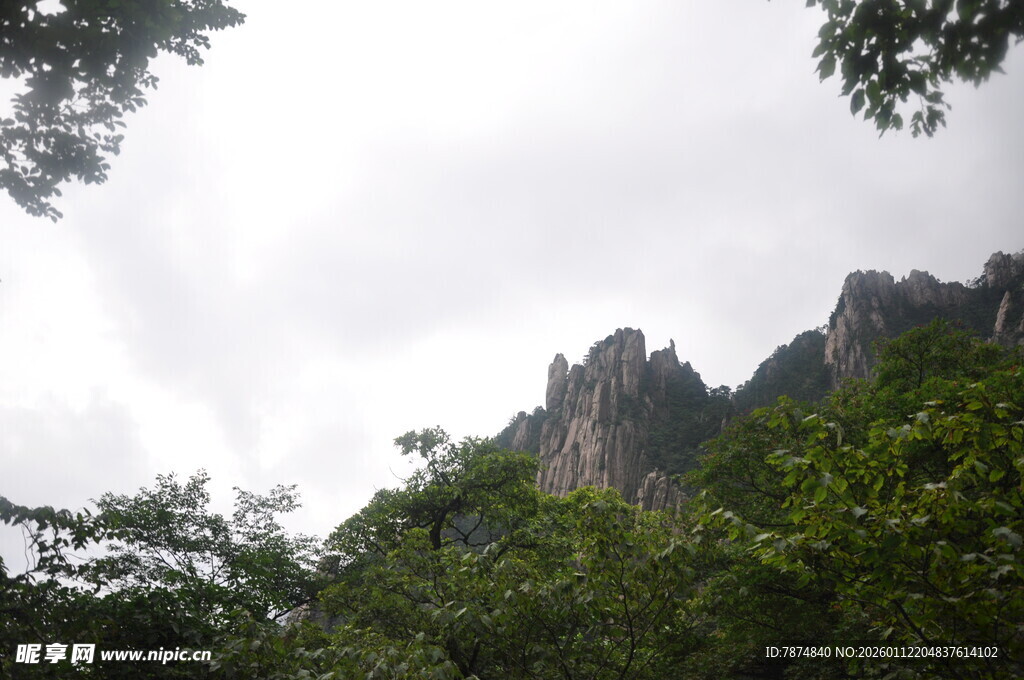 云雾缭绕的山林景致